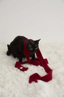 (Red)Faux Fur Skinny Scarf-TENERA Accessories Collection